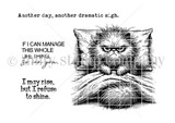 Red rubber stamp sheet: grumpy cat in bed plus three snarky sentiments including 'If I can manage this whole life thing, so can you'