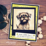 Card with the script-text background framing a scruffy stamped puppy and 'Sending a little love to keep for when you need it most.'