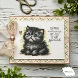 Soft card with the fluffy kitten and 'You make ordinary days feel so very special.'