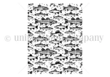 Line art of the Below the Ripples background stamp: rows of finely detailed trout swimming across a full 4.25 x 5.5 panel.