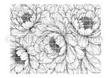 Red rubber background stamp of large overlapping peony blooms in fine line detail, layered to cover an entire card front.