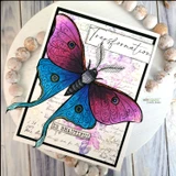 The luna moth in jewel-toned blue and pink on a script-background card — 'Transformation.'