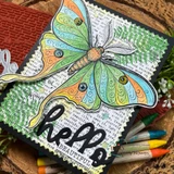 The moth in rainbow greens on a fern-embossed card — 'hello beautiful.'