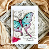 The luna moth in soft teal and pink on a white embossed card — 'Transformation is beautiful.'