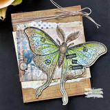 The moth in muted green and gold on a layered mixed-media card with an aged look.