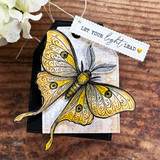The moth in yellow and black on a rich woodgrain card — 'Let your light lead.'