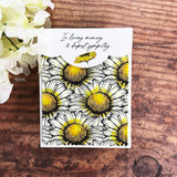 Sunny Side UP {bkg 7/25}