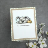 Minimal white card of the resting pup and kitten with 'Curl up & feel better soon' below.