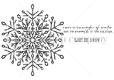 Frosted Lace