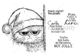 Line-art stamp sheet of a grumpy cat in a stocking hat with snarky Christmas lines 'silent night? yes please,' 'santa, don't bother. I'm already on the naughty list' and 'you're not here so I'm extra not jolly.'