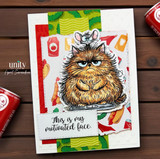 Bold card of the fluffy grump on colorful papers, 'this is my motivated face.'