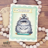 All the Fluff Pissy Kitty