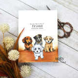 Peace, Paws & Possibility {kom 12/25}