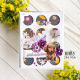 Peace, Paws & Possibility {kom 12/25}