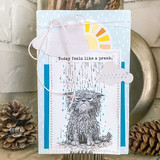 Not Dramatic Pissy Kitty