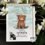 Not Dramatic Pissy Kitty