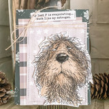 Card with the shaggy dog on soft plaid papers, 'My P is evaporating... much like my estrogen.'