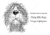 Red rubber stamp set with a shaggy, tired-looking dog and sentiments 'Starting to feel your age, huh,' 'Feeling all the things,' and 'Sorry you are feeling down.'