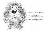 Red rubber stamp sheet with a shaggy sheepdog face filling the frame, carrying 'Starting to feel your age, huh.' and 'Sorry you are feeling down.'