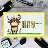 A handmade greeting card with a shaggy Highland cow with a little bird perched on its head, in a wildflower meadow from Unity Stamp Co's Seen & Herd red rubber stamp set, with the sentiment 'Just saying hey & hoping you're okay'.