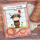 Seen & Herd