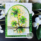 KOMpanion Stamp Set Bundle - February 2026