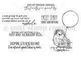 The Already Old red rubber stamp set — a scruffy, unimpressed bird holding a balloon with snarky birthday sentiments like 'you're not getting old... you are already old.'