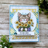 A Gentle Plot Twist {kom 2/26}