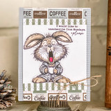 Rooted & Radiant {kom 3/26}