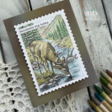 Deer card with mountain forest scene and “Celebrate big today” sentiment.