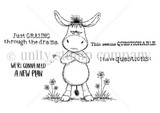 Line-art stamp of a deeply skeptical little donkey with one raised eyebrow, surrounded by the sentiments 'Just grazing through the drama', 'This seems questionable', 'I have questions!' and 'We're gonna need a new plan.'