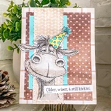 Card with the party-hat donkey over polka-dot papers and 'Older, wiser, & still kickin'.'