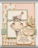 Soft card with the donkey, a 'Happy Birthday' tag and 'Good luck blowing out all those candles.'