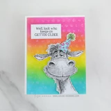 Rainbow-blended card with the party-hat donkey and 'Well, look who keeps on GETTIN OLDER.'