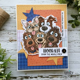 Celebration card with happy dogs and “Hooray! From the whole pack” sentiment.