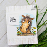 Rustic horse thank you card with “Hay, thanks so much” sentiment.
