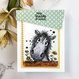 Whimsical horse thank-you card with daisies and the sentiment, “Hay, thanks so much.”