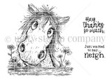 Neigh There