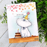 Birthday card with fluffy cat in party hat beside cake.