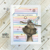 Birthday card with party-hat donkey and “Older, wiser, & still kickin’” sentiment.