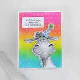 Rainbow birthday card with party-hat donkey and funny “gettin’ older” sentiment.