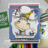 Funny donkey birthday card with party hat and “Older, wiser, & still kickin’” sentiment.