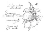 You're the Zest {6/26} STAMPS ONLY