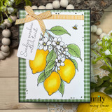 Lemon-themed handmade card with plaid background, gingham ribbon, and “Sending sunshine with a twist” tag.