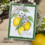 Elegant lemon thank-you card with ribbon bow, citrus blossoms, and “So much THANK YOU” sentiment.