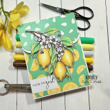 Mint green lemon-themed card with “YOU’RE THE zest” sentiment and citrus accents.