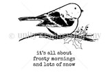 Frosty Mornings & Lots of Snow Bird