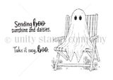 Ghosting in the Sunshine