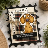 Card with a weary dachshund on a paw-print and plaid panel, 'you're allowed to be tired. You've been people-ing.'