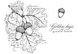 Red rubber background stamp with a vintage botanical oak branch and two acorns layered over antique French ephemera text, with a Golden days and grateful hearts sentiment and a single acorn accent